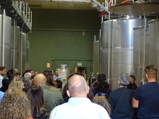 Villachica a fondo - Visita y Cata 5 vinos