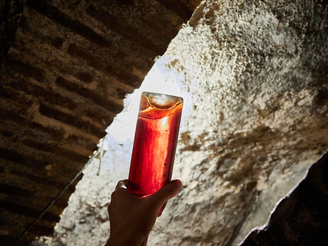 Visita "Desde el agujero" César Príncipe Bodegas