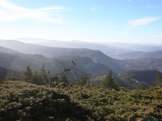 Descubre el Techo de la Serranía de Cuenca - La Mogorrita