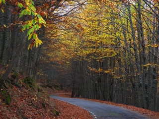 4X4 Valle del Ambroz
