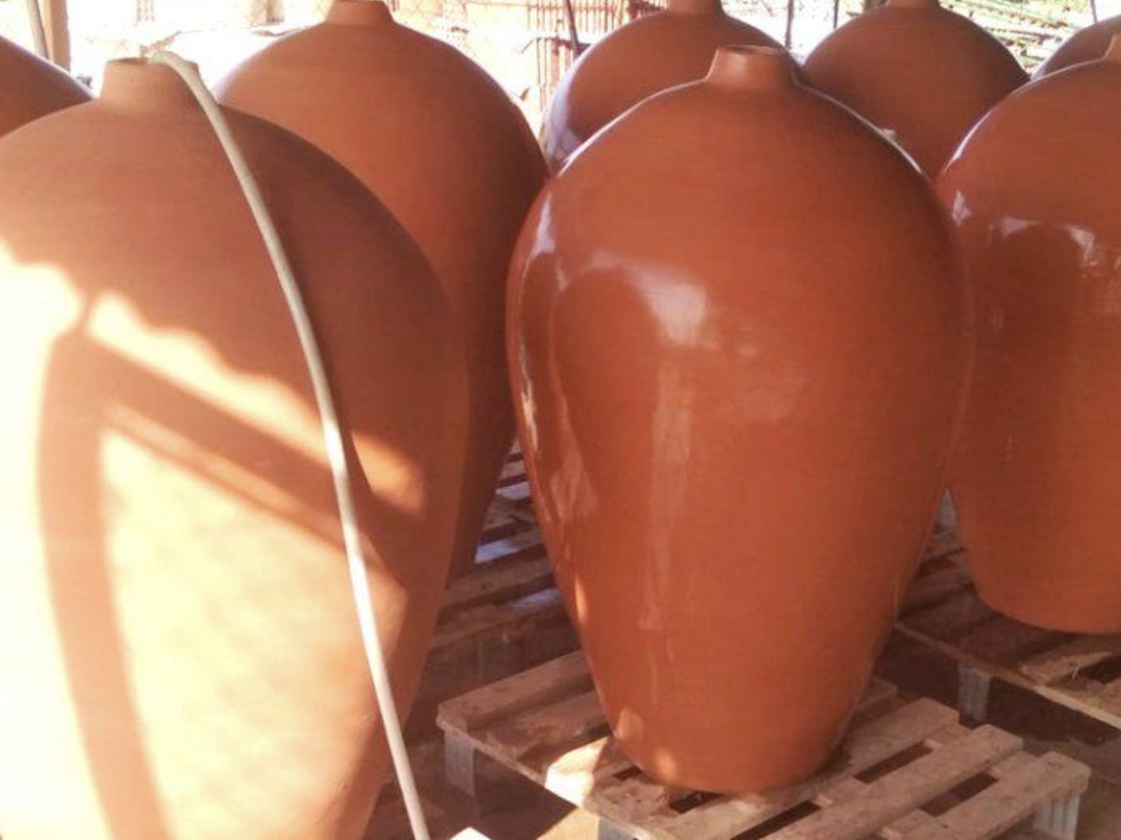 Cata de Vinos Artesanales Tinaha - Albarán