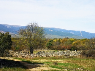 El Camino de Juana "La Beltraneja", historia y paisaje