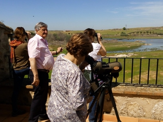 Conoce los secretos de la Torta del Casar