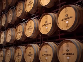 Visita guiada a La Purísima Bodegas + cata de 2 vinos + aperitivo