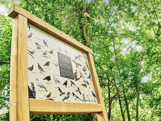 Oleoturismo con los 5 Sentidos