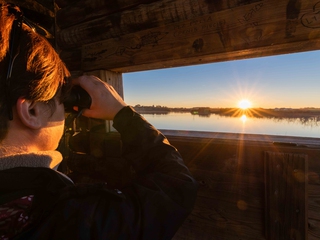 Atardecer Tablas de Daimiel