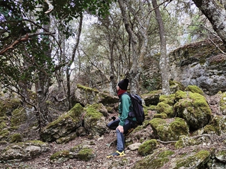 Ruta por El Bosque de Bajil