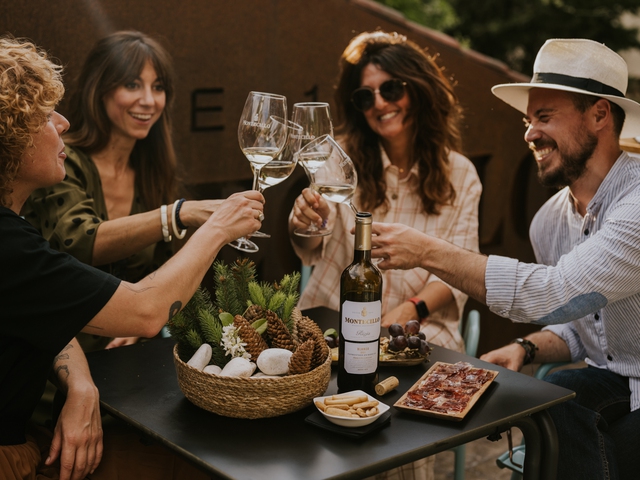 Visita guiada a una Bodega con más de 300 premios + Cata de vinos