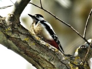 La Naturaleza que envuelve la Ciudad de Cuenca
