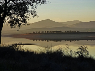 Obsevación de Grullas en el Valle de Ambroz