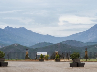 ¿Te gusta el Vino? Visítanos - Bodegas Ruíz Torres