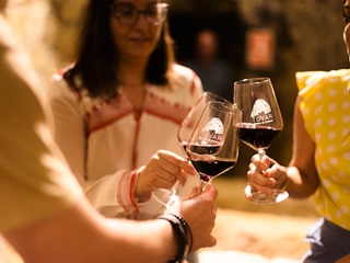 Experiencia Tovar: un viaje al corazón del vino en Trigueros del Valle
