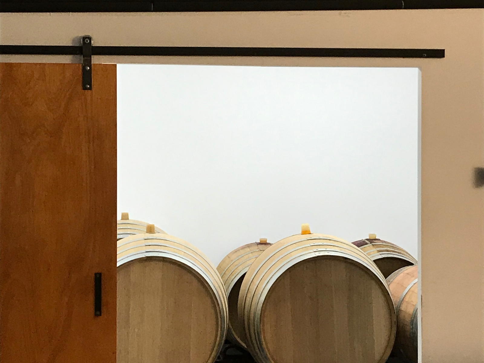 Visita Bodega y Cata en Baldovar 923