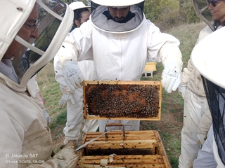 Apicultor por un día