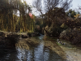 Visita guiada y cata Premium