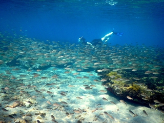 Snorkeling en Cabo de Gata