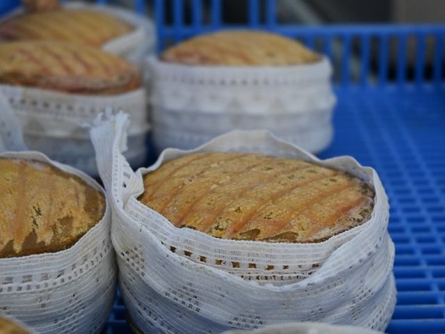 Tour por una quesería cacereña