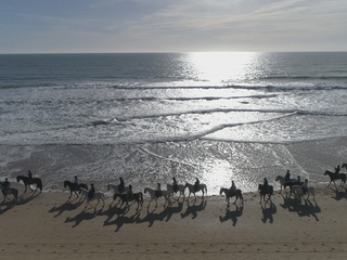 Ruta a Caballo - Playa o Pinares