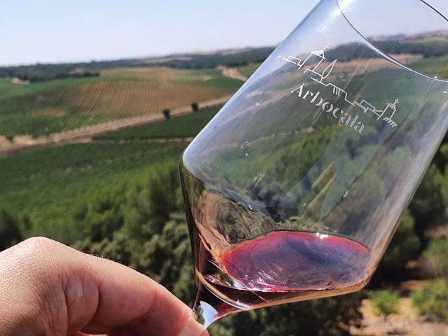 Crea tu Propio Vino en el Palacio de Villachica, Toro