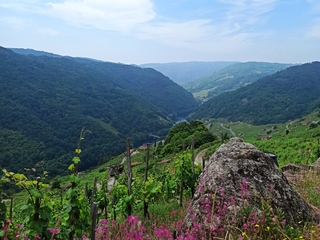 Pena da Moura: Viaje en el Tiempo por la Ribeira Sacra