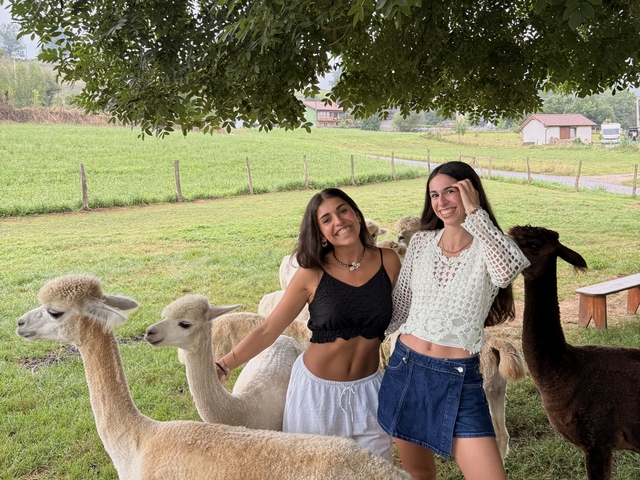 Visita guiada a la granja de alpacas de Esles