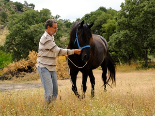 Mindfulness con caballos