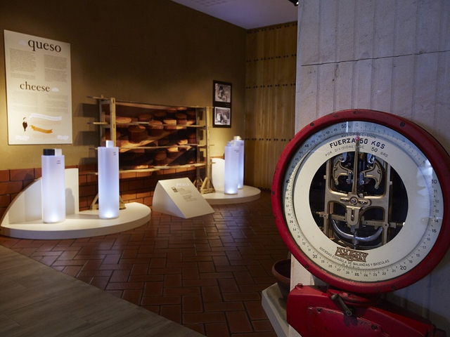 Visita al Museo del Queso y degustación de 8 tipos de queso de oveja