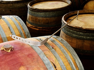 Visita guiada por Toro y Visita a Bodega con Cata