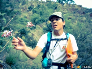 La Selva Mediterránea de Espadán