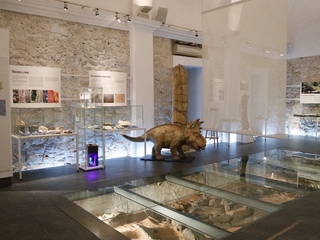 Alpuente - Dinosaurios en el Reino del Silencio