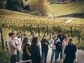 Visita guiada con degustación de txakolis