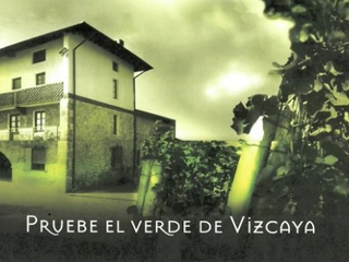 Visita Guiada por la Bodega Txakoli Uriarte