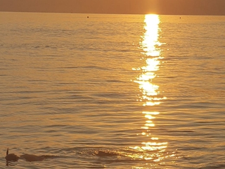 Salidas de Snorkel con equipo