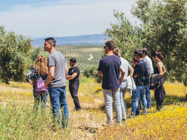 Experiencia Completa La Biodiversa: Olivar Centenario, Cata de AOVE y Visita Cultural a Arjona