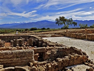 Ruta Ornitológica y Observación de Fauna a través de las dehesas de Cáparra-Ambroz