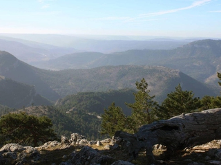 Descubre el Techo de la Serranía de Cuenca - La Mogorrita