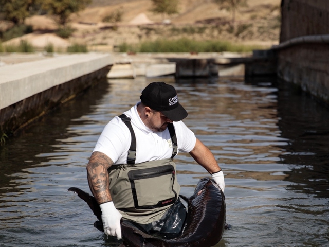 Visita guiada con inmersión y cata premium de caviares