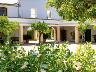 Visita a nuestra Bodega de Mora con una degustación de cuatro vinos de Jerezy vermú.