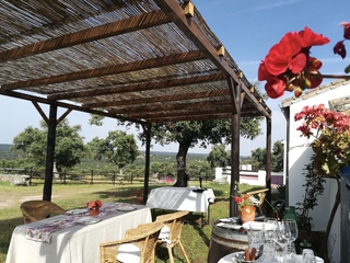 El Origen de Jamón Ibérico