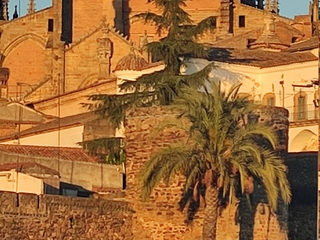 Free Tour Plasencia Medieval