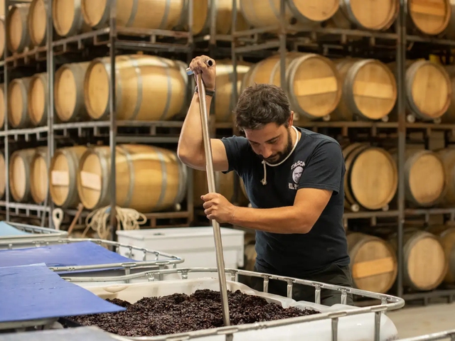 Cata de 5 vinos D.O. Toro en bodega a orillas del Río Duero