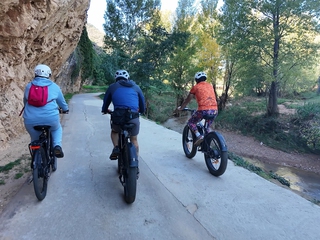 Oliete Smart Biking - Ruta guiada en bicicleta eléctrica  + experiencia oleoturística