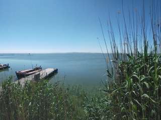 La Albufera en Bici - Ruta guiada circular