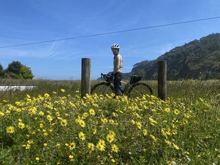 Alquiler bicis Gravel