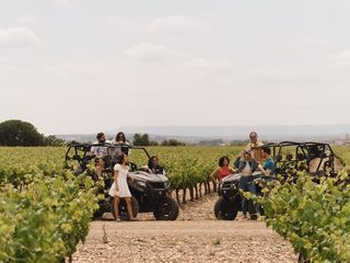 Visita a los viñedos en buggy + Visita a bodega + degustación de 3 vinos