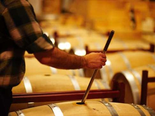 Visita guiada por Toro y Visita a Bodega con Cata