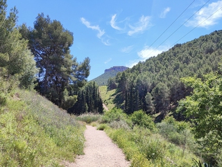 Atardecer en el Castillo de la Asomada
