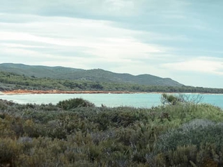 La Sierra de Irta: El Mediterráneo Primitivo
