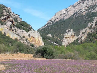 Experiencia Hoz de Río Frío