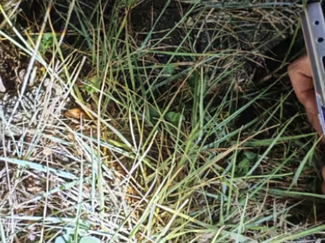 Naturaua - Ruta de aventura